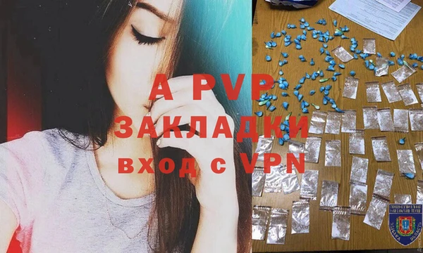 дмт Арсеньев