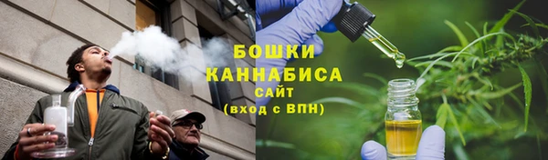 дмт Арсеньев
