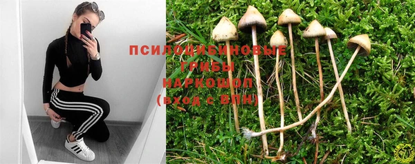 a pvp Армянск