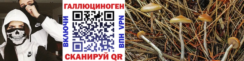 Псилоцибиновые грибы мухоморы Чердынь